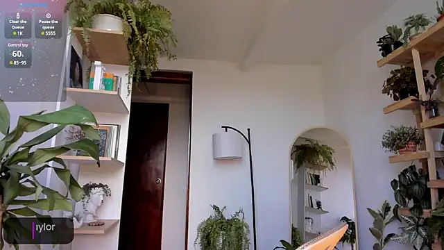 Johaphyton online show from 18, 1, 2025