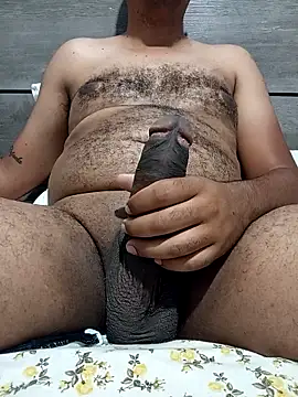 Jornaodaputaria online show from 5, 11, 2025