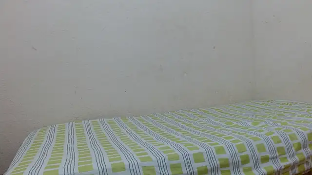 Evanhotx online show from 6, 1, 2026