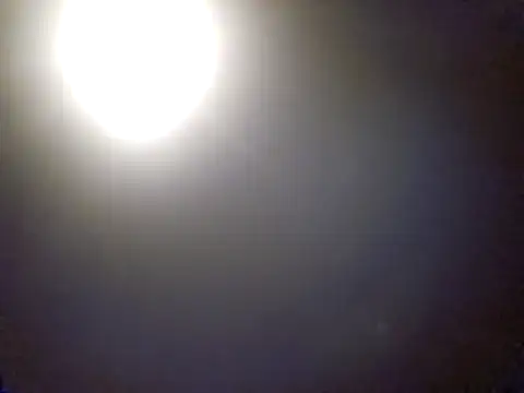 Snapshot of ThatPlatinumD chatting on 17, 12, 2025 ThatPlatinumD online show from 17, 12, 2025