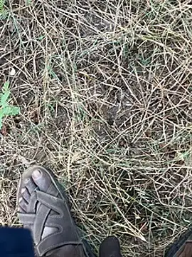 Snapshot of tamil000000 chatting on 11, 3, 2025 tamil000000 online show from 11, 3, 2025