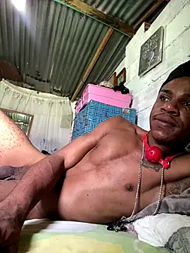 ElNegroRony online show from 2, 12, 2024