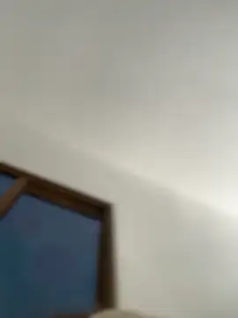 vivicolibri online show from 1, 3, 2026