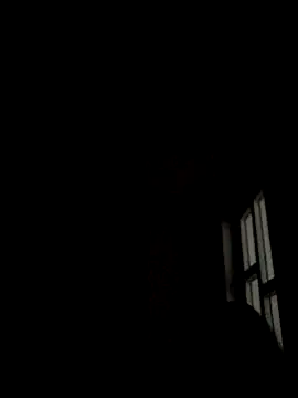 Nicusorescu26 online show from 9, 10, 2025