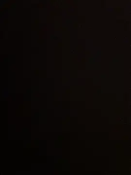 Nicusorescu26 online show from 15, 10, 2025