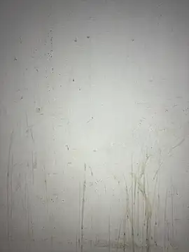 poision51 online show from 27, 1, 2025