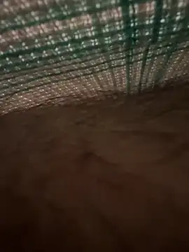 Snapshot of studdboyy chatting on 17, 12, 2025 studdboyy online show from 17, 12, 2025