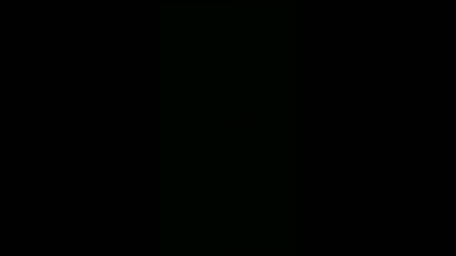 alansteer online show from 9, 12, 2024