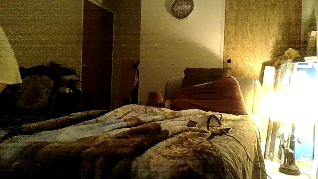 Snapshot of Jay81 chatting on 18, 12, 2024 Jay81 online show from 18, 12, 2024