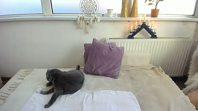 Arya Shinex online show from 9, 1, 2025