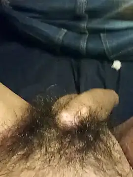 GaMeCrAc1 online show from 8, 1, 2026