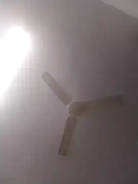 Snapshot of jenilmax chatting on 16, 12, 2024 jenilmax online show from 16, 12, 2024