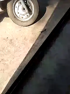 PracticalGum40 online show from 10, 12, 2024