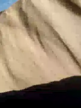 CptDickX258 online show from 12, 1, 2025