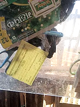 Snapshot of Skinny_Bigass_23 chatting on 16, 11, 2025 Skinny Bigass 23 online show from 16, 11, 2025