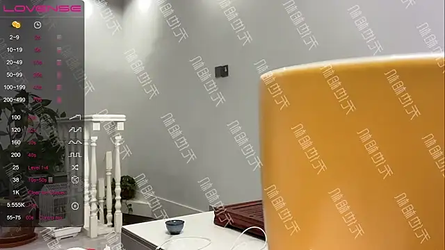 Snapshot of xinxin-521 chatting on 20, 12, 2024 xinxin-521 online show from 20, 12, 2024