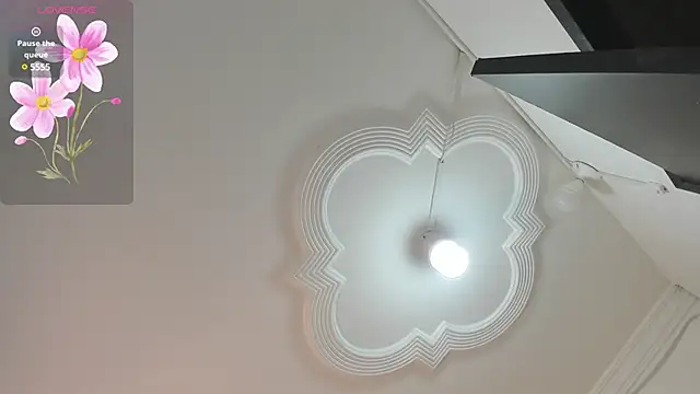 Snapshot of ariana_crazzy chatting on 13, 12, 2024 ariana crazzy online show from 13, 12, 2024