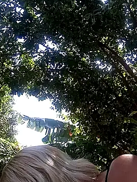 Snapshot of blondebitchlitle chatting on 5, 2, 2026 blondebitchlitle online show from 5, 2, 2026