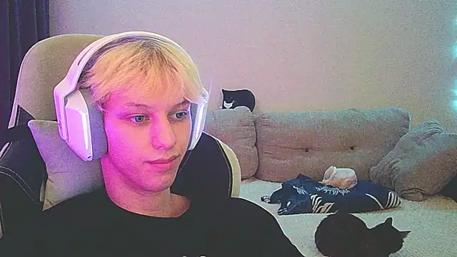 Ostin meow online show from 19, 12, 2024