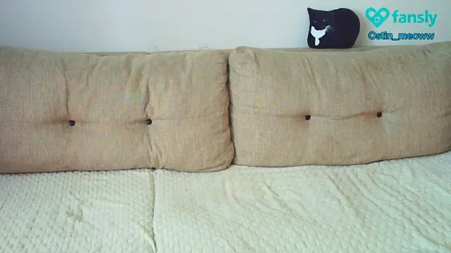 Ostin meow online show from 19, 3, 2025