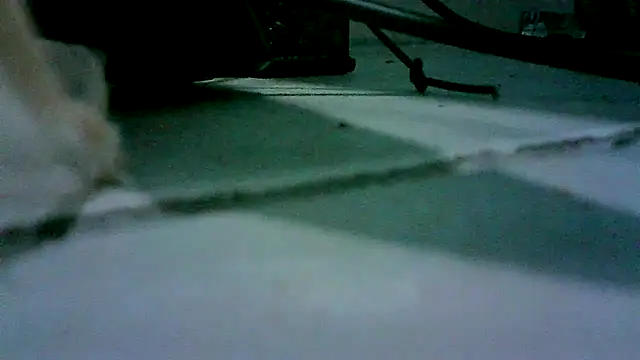 patynalgona online show from 18, 10, 2025