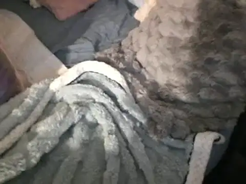 Snapshot of housewife_shantie chatting on 15, 3, 2025 housewife shantie online show from 15, 3, 2025