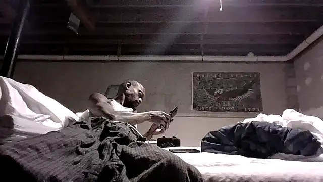 Snapshot of KinGKane84 chatting on 24, 12, 2024 KinGKane84 online show from 24, 12, 2024