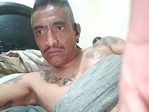 Innsaciable online show from 9, 4, 2026