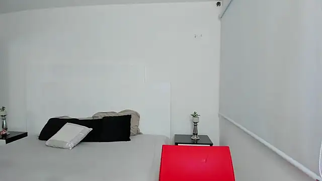 Snapshot of Dylan_Taylor chatting on 27, 2, 2025 Dylan Taylor online show from 27, 2, 2025