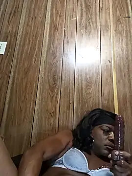 kobrashekyng online show from 16, 12, 2025