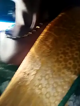 Kajal  Mehra online show from 28, 3, 2026