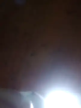 Darly Gomez online show from 23, 3, 2025