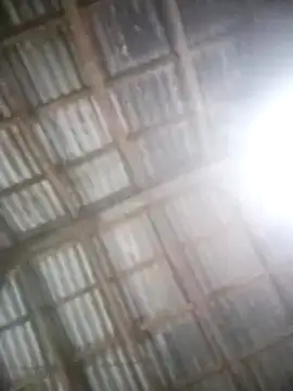 Snapshot of Feli230990 chatting on 5, 3, 2025 Feli230990 online show from 5, 3, 2025