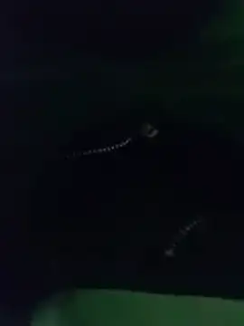 Snapshot of thanos65432 chatting on 18, 3, 2026 thanos65432 online show from 18, 3, 2026