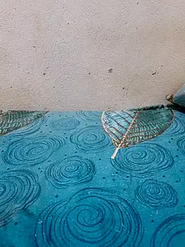 Linda-53 online show from 27, 3, 2026