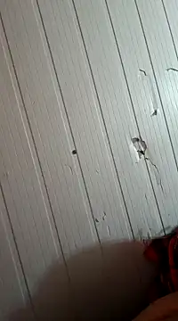 frotasso online show from 1, 1, 2025