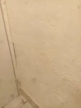 Snapshot of FlacoRiaton chatting on 10, 2, 2026 FlacoRiaton online show from 10, 2, 2026