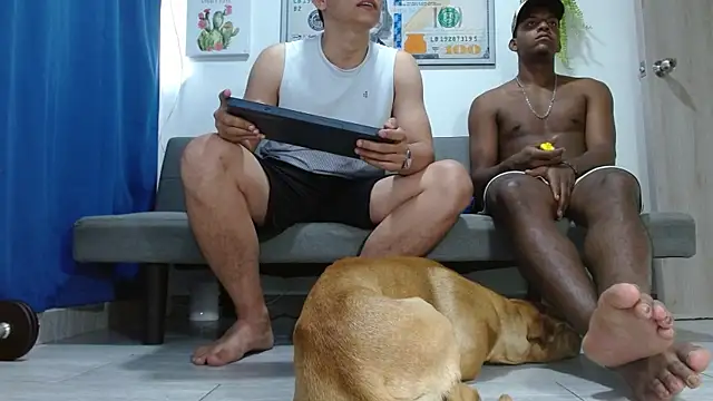 boss of cash online show from 15, 2, 2026