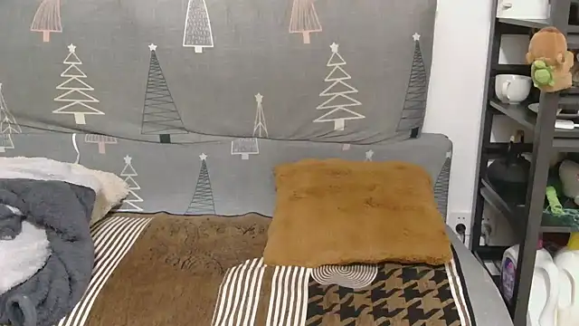 866532 online show from 17, 12, 2025