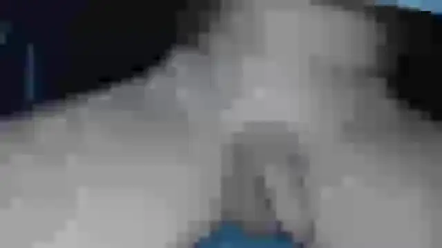 cs1512 online show from 13, 2, 2025