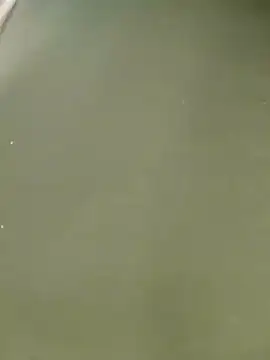 Snapshot of Miss_balloonsmila chatting on 22, 1, 2025 Miss balloonsmila online show from 22, 1, 2025