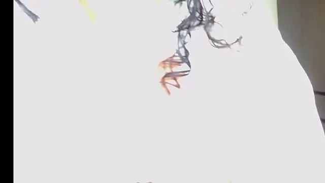 arianna ros3 online show from 16, 2, 2026