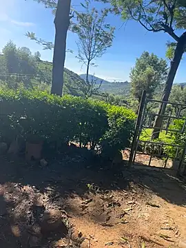 Snapshot of Hillz_king_98 chatting on 4, 2, 2025 Hillz king 98 online show from 4, 2, 2025