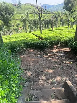 Snapshot of Hillz_king_98 chatting on 28, 2, 2025 Hillz king 98 online show from 28, 2, 2025