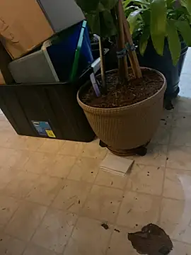 Thickirishcock850 online show from 23, 3, 2026