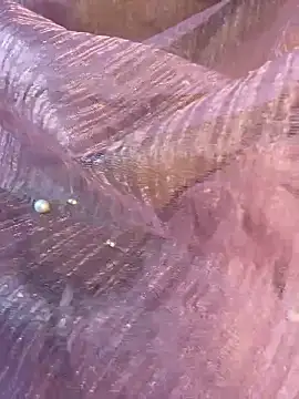 honeyboobies7249 online show from 14, 1, 2026