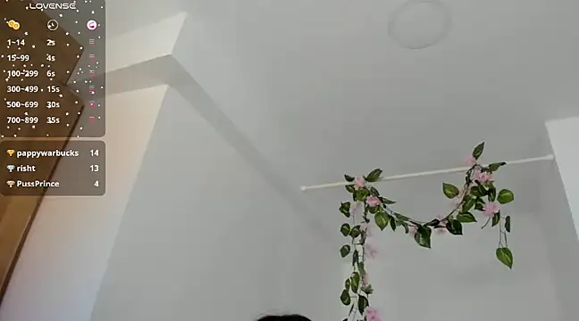 Snapshot of Ninna--1 chatting on 12, 1, 2025 Ninna--1 online show from 12, 1, 2025