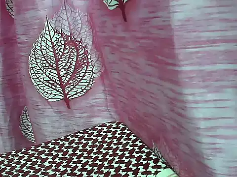 telugu indhu 0001 online show from 4, 3, 2026