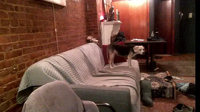 Johnny Bottoms online show from 24, 9, 2025