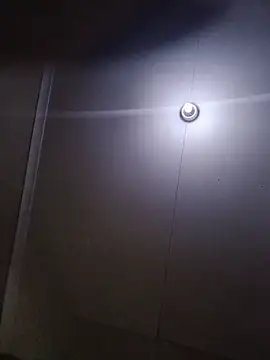 TheRiseOfDick online show from 5, 7, 2026